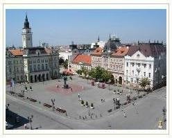 Slider image (6) STOMATOLO